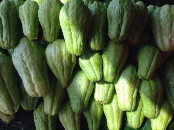istock Large group of gourds at market 863686046