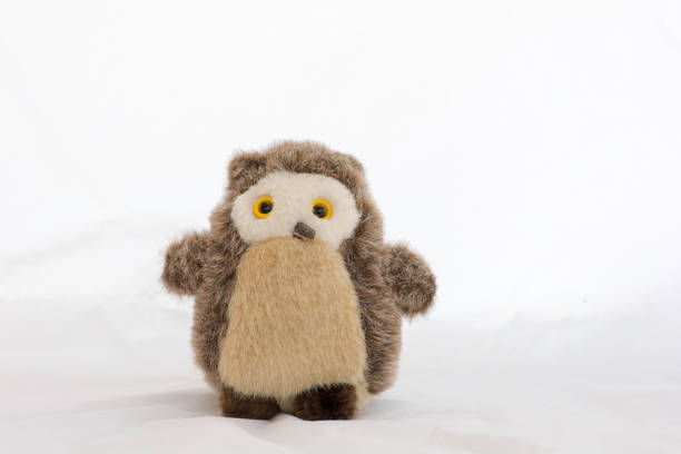 istock Stuffed animal owl toy on a white background 863689238