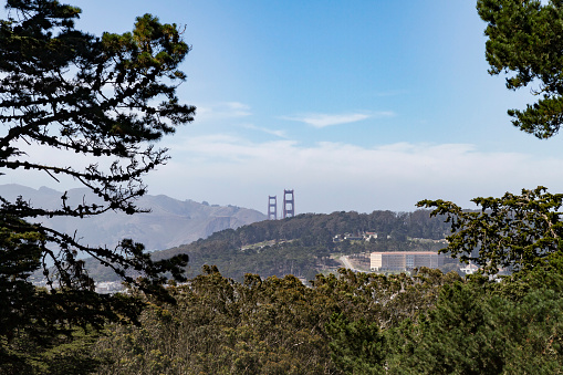 Follow the Buena Vista Park trails to the top and be rewarded with stunning San Francisco city views. From this spot the Golden Gate Bridge can be seen on a clear day.