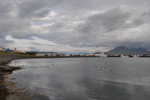 istock coastline of Hrisey in Iceland 863698876