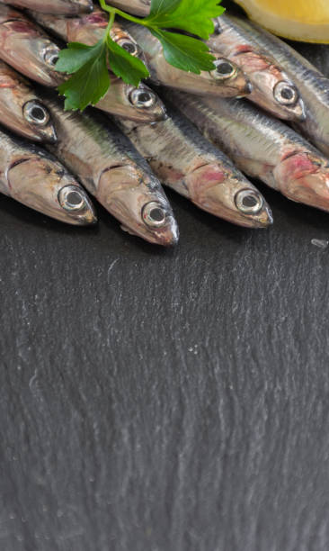 istock Fresh anchovies ready to Cook, 863701146