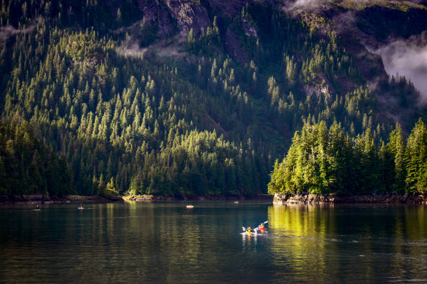 istock fog landscape with misty in Alaska with mountain background 863711512