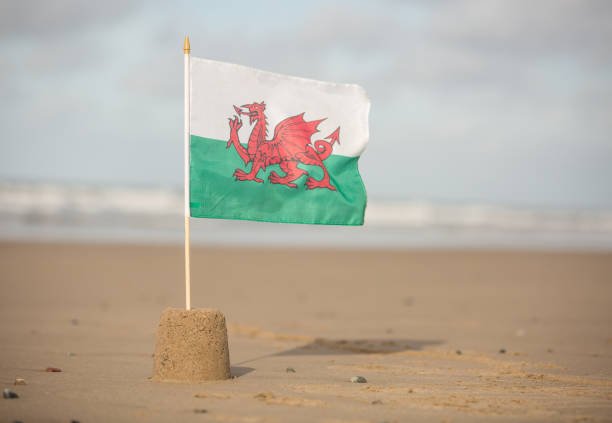 bandeira de galês, voando em um castelo de areia em uma bela praia de cymru - welsh flag welsh culture flag green - fotografias e filmes do acervo