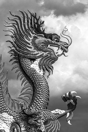 Dragon Tattoo Pictures | Download Free Images on Unsplash