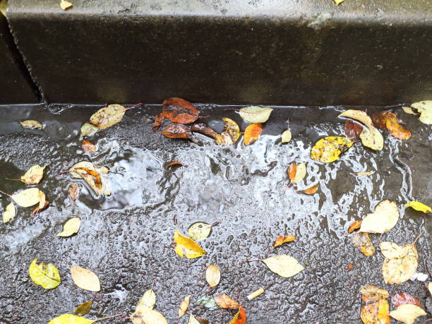 istock Autumn leaves in rainy weather 863717842