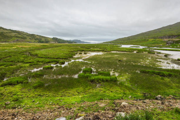 landscape on the road from Plockton to Applecross wild sceneries of the Pass of the Cattle road to get to Applecross village applecross peninsula stock pictures, royalty-free photos & images