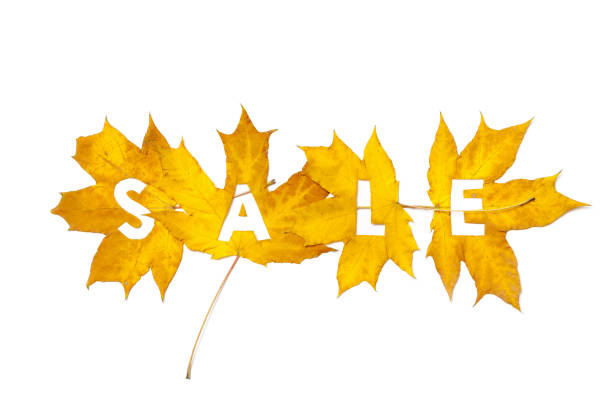 istock Autumn discounts. Letters carved from wedge leaves 863720894