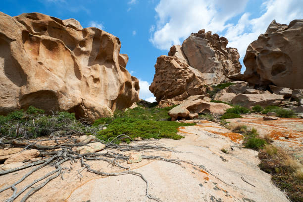 istock Large stones on a background of green grass 863722974