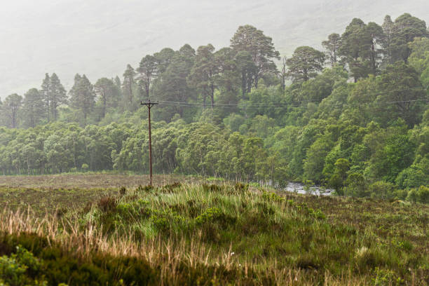 landscape on the A835 on the route to Ullapool shootings of landscapes in a rainy days on the way to Ullapool applecross peninsula stock pictures, royalty-free photos & images