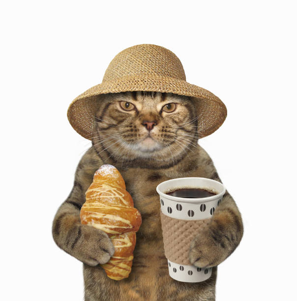 istock Cat with coffee and croissant 3 863733806