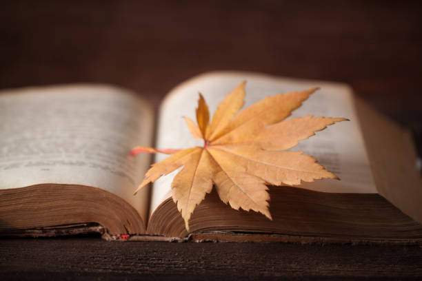 istock Old book with colourful maple leaves on wooden background 863734578