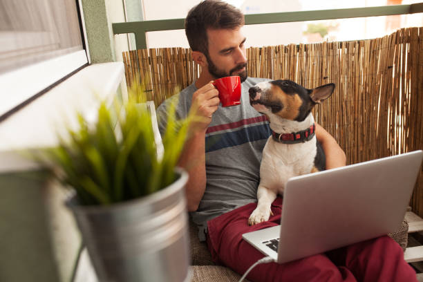 istock Male working on laptop from his home 863739630
