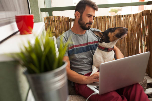 istock Male working on laptop from his home 863739912