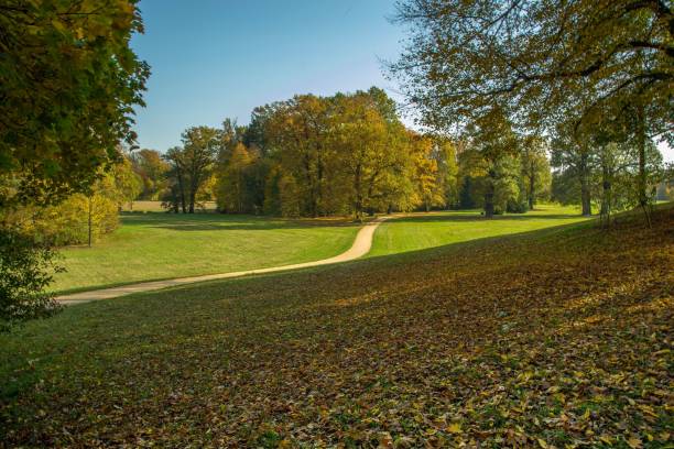 istock Park Bad muskau 863743224
