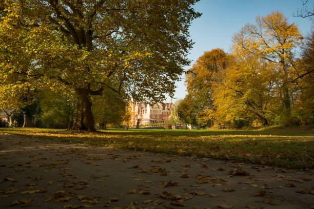 istock Park Bad muskau 863743362