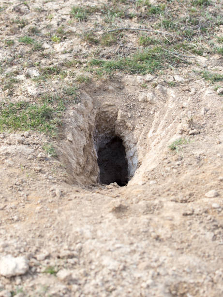 istock hole on the nature of the beast 863743482