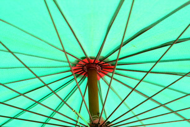 istock the green texture background of umbrella canvas and accessory 863746252