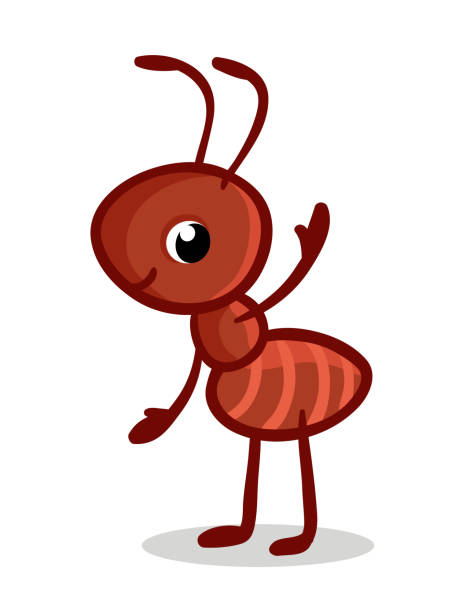 ilustrações, clipart, desenhos animados e ícones de ilustração vetorial com uma formiga bonitinha. - ant