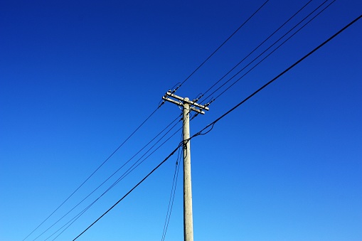 Low angle view of one crow observing from his high perch in Metro Vancouver. Woodpeckers might have caused the holes in the utility pole. Winter afternoon with overcast skies.