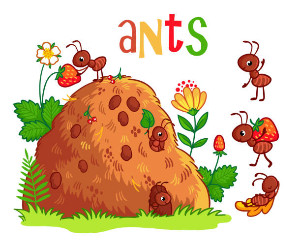 Illustration vectorielle avec une fourmilière et les fourmis. - Illustration vectorielle