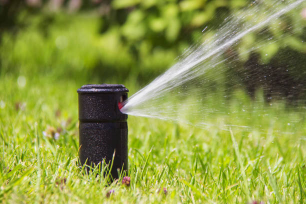 Lawn Sprinkler in Action. Garden Sprinkler Watering Grass. Automatic Sprinklers. Lawn Sprinkler in Action. Garden Sprinkler Watering Grass. Automatic Sprinklers agricultural sprinkler stock pictures, royalty-free photos & images