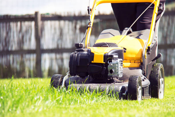 istock Lawn mower cutting green grass in backyard, garden service. 863784080