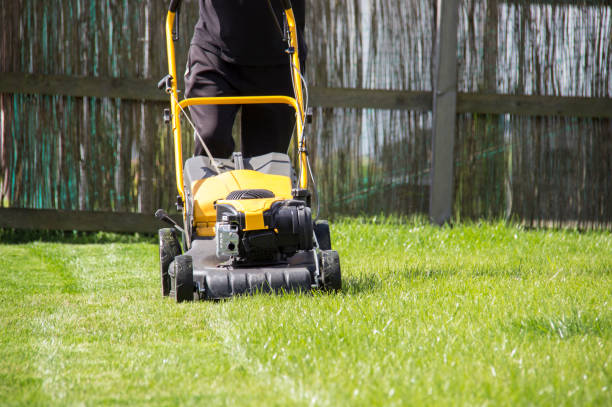 istock Lawn mower cutting green grass in backyard, garden service. 863784488