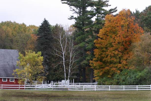 istock Autumn in the country 863785438