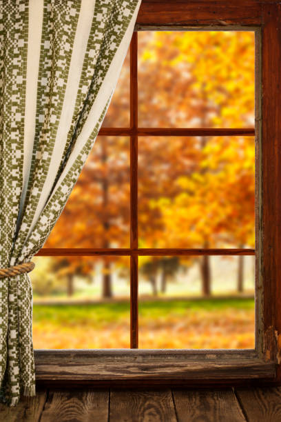 Old Wooden window overlook autumn trees