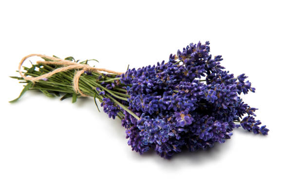 istock Purple bouquet Lavender flowers 863826908