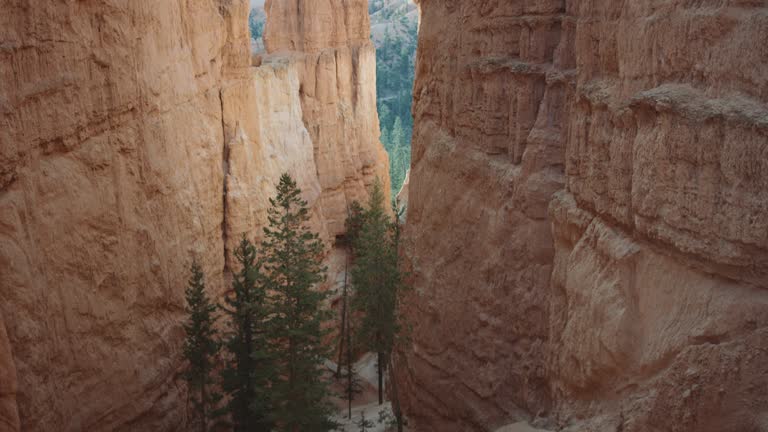 4K UHD: Reveal of Bryce Canyon Hikers