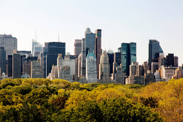 istock A view of NYC skyline from central park 863839960