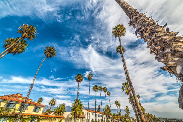 istock Palm trees on a cloudy day in Santa Barbara 863843330