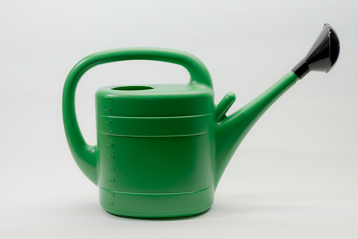 green watering can, isolated