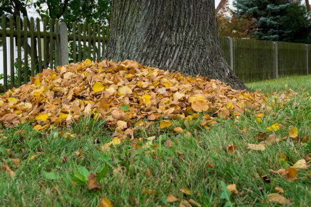 istock Pile of autumn leaves 863846414