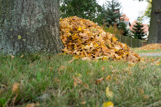 istock Pile of autumn leaves 863850832