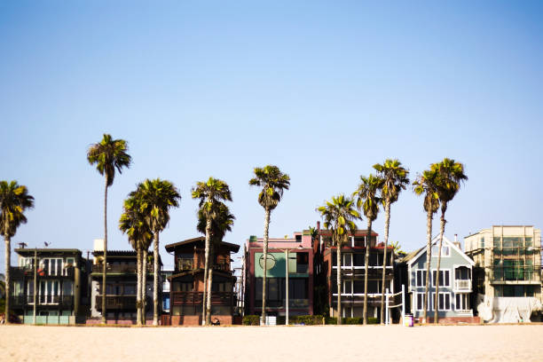 a praia de veneza de los angeles com palmeiras e casas de praia caro - venice califórnia - fotografias e filmes do acervo