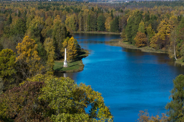 istock Autumn trees near the puddle during fall 863861456
