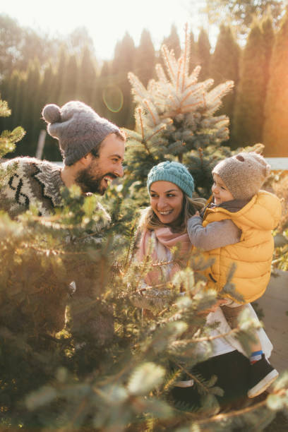 istock Carrying our Christmas tree home 863887122