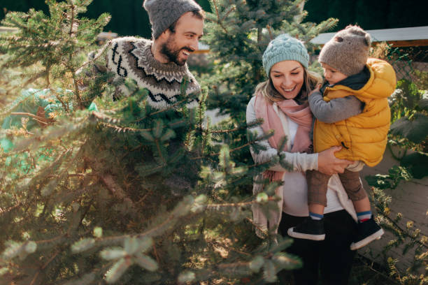 istock Carrying our Christmas tree home 863887490