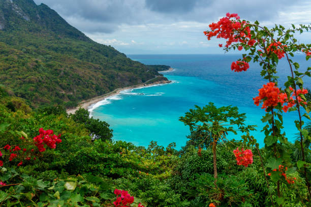 istock Amazing caribbean view. Dominican Republic 863889916