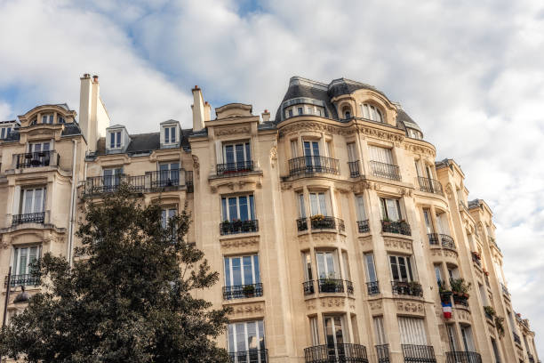 파리 건축양상 - art nouveau door paris france luxury 뉴스 사진 이미지