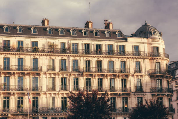 파리 건축양상 - art nouveau door paris france luxury 뉴스 사진 이미지