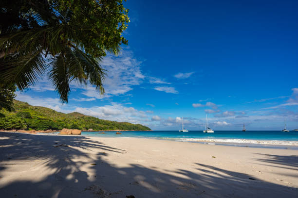 istock Catamarans at anse lazio on the seychelles 11 863920020