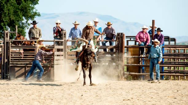 istock Rodeo Team Watching Team Mate Break Out of The Shoot For An Eight Second Saddle Bronc Ride 863926284