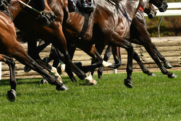 istock Horse racing action 863927534