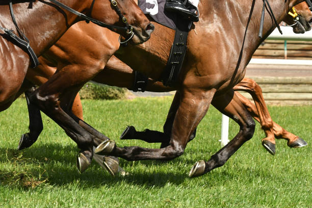 istock Horse racing action 863927546