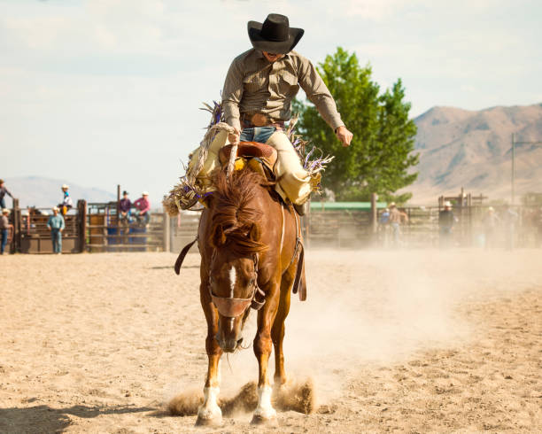 istock Bronc Busting Cowboy At The Rodeo 863929574