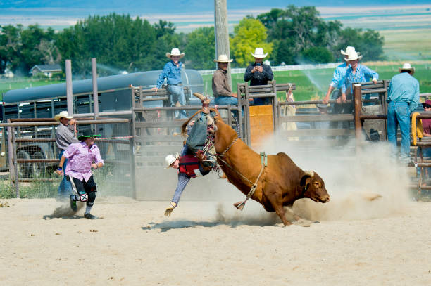 istock Bull Rider Trying Hard For That 8 Second Bull Ride 863929742