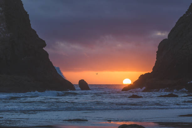 istock Rocky Pacific Coastline at Sunset 863937944